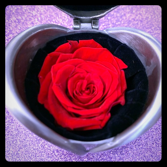 Rose that never dies!!!🌹